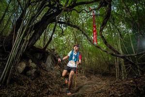 BIB: 
                            <button type="button" onclick="openModal(22177298)" class="btn btn-primary btn-sm float-right btn-popup" data-toggle="modal" data-target=".modal-high-quality">
                        <i class="fas fa-shopping-cart"></i> Add to Cart
                    </button>
                                            <button type="button" onclick="isThisMe(22177298, true)" class="btn btn-success btn-sm float-right btn-popup btn-isme hidden" data-toggle="tooltip" data-placement="bottom" title="นี่คือรูปของคุณใช่ไหม คลิกที่นี่เพื่อเอาเข้าอัลบั้ม">
                        <i class="fas fa-plus"></i> Add to album
                    </button>
                    <button type="button" onclick="isThisMe(22177298, false)" class="btn btn-warning btn-sm float-right btn-popup btn-isnotme hidden">
                        <i class="fas fa-ban"></i> Remove from album
                    </button>